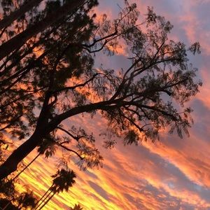 Meet your Posher, Vernise